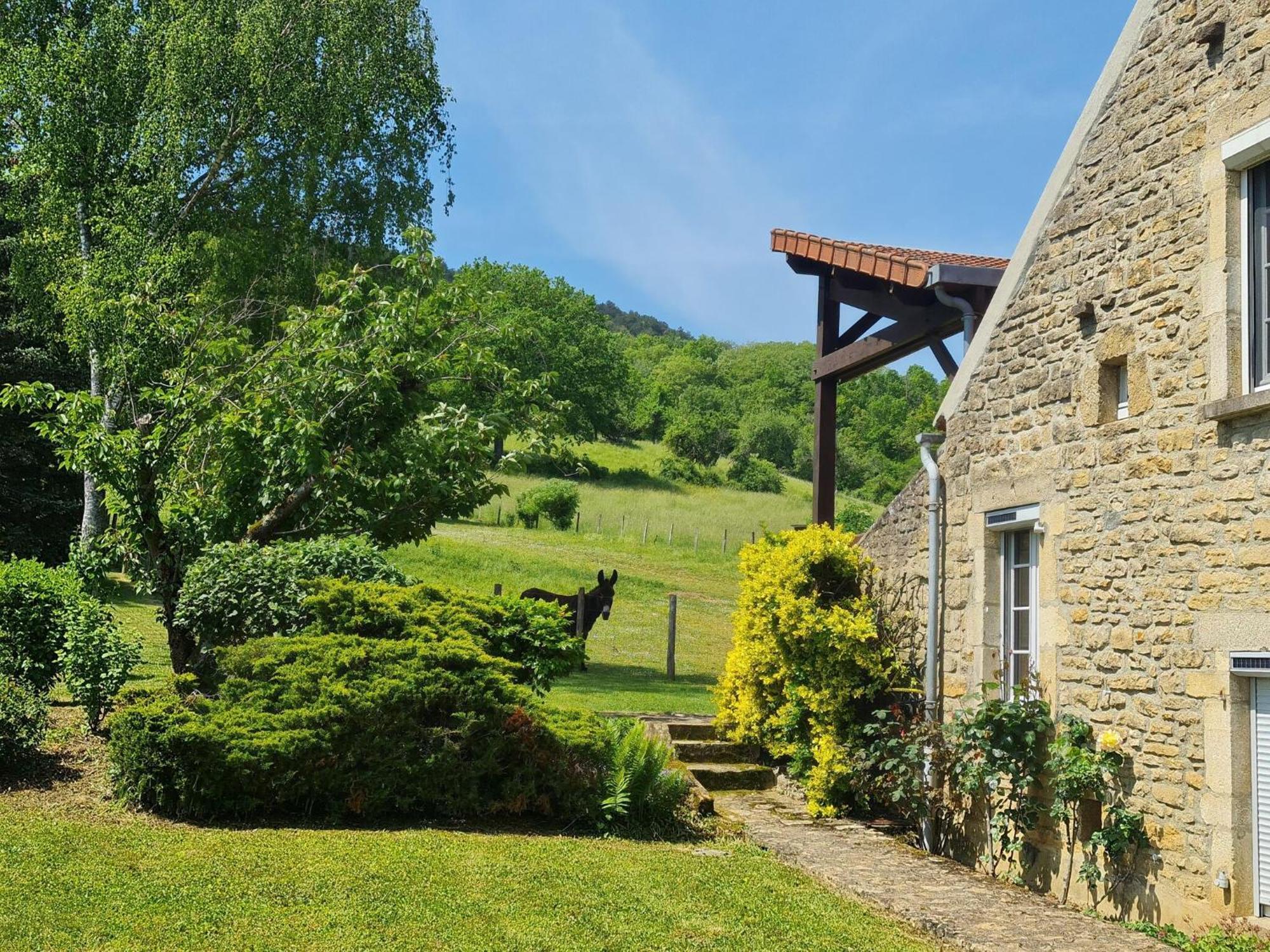 Modern Holiday Home On The Meadows Vault-de-Lugny 외부 사진